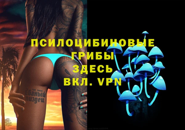 стафф Абаза